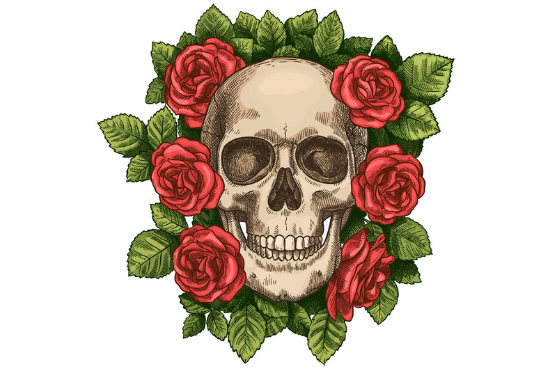 skull-and-roses-dead-skeleton-head-and-red-flowers-hand-drawn-gothic