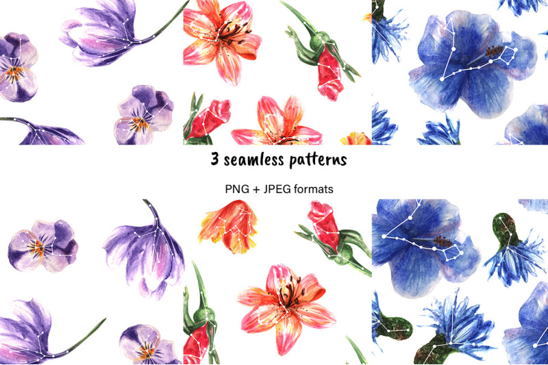 watercolor-collection-of-celestial-flowers-and-patterns