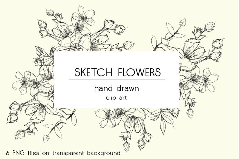 hand-drawn-sketch-flowers-floral-illustrations-clipart-overlay-pen