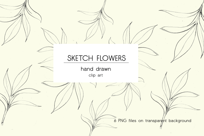 hand-drawn-sketch-flowers-floral-illustrations-clipart-overlay-pen