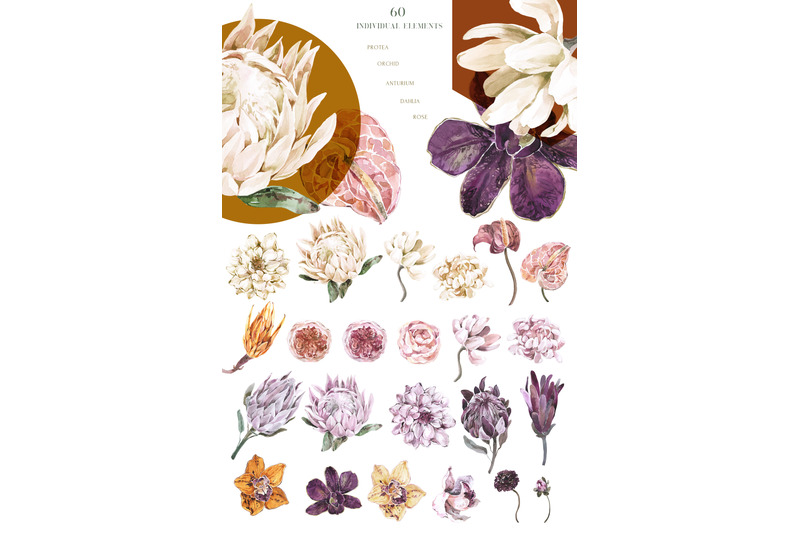 all-season-tropics-floral-watercolor