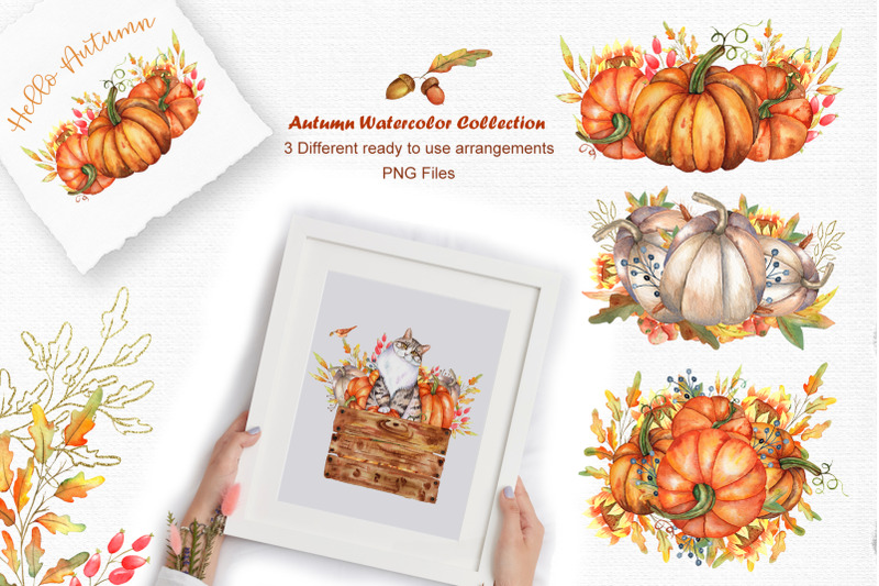 watercolor-autumn-cat-collection