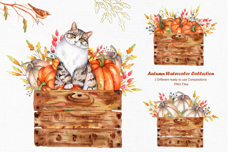 watercolor-autumn-cat-collection
