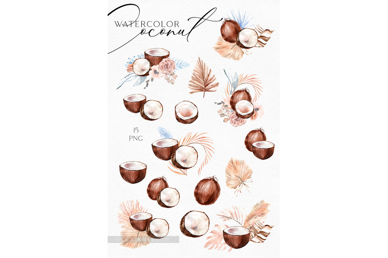 watercolor-coconut-clipart-tropical-clipart-coconut-png