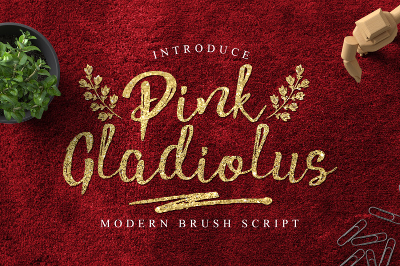 pink-gladiolus
