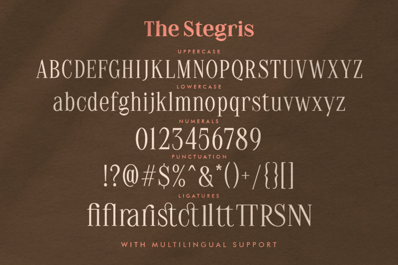 the-stegris-serif-family-5-weights