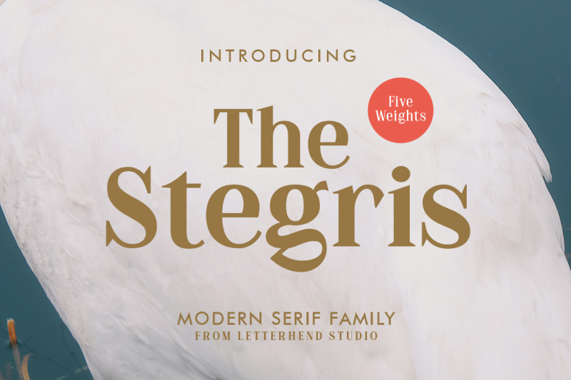 the-stegris-serif-family-5-weights