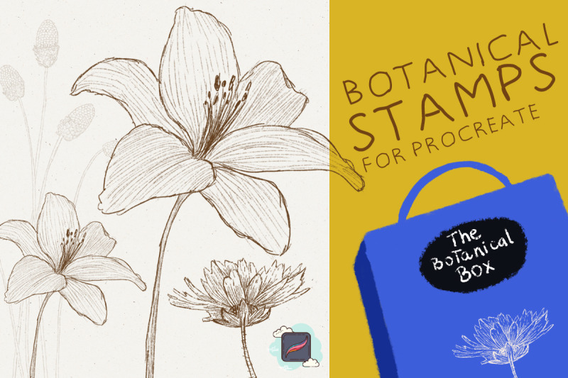 the-procreate-botanical-box