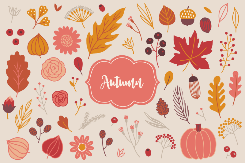 autumn-kit-2