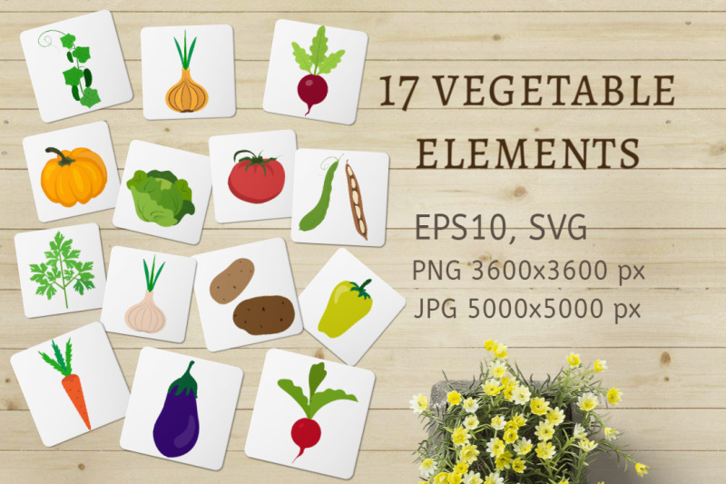 17-vegetable-elements