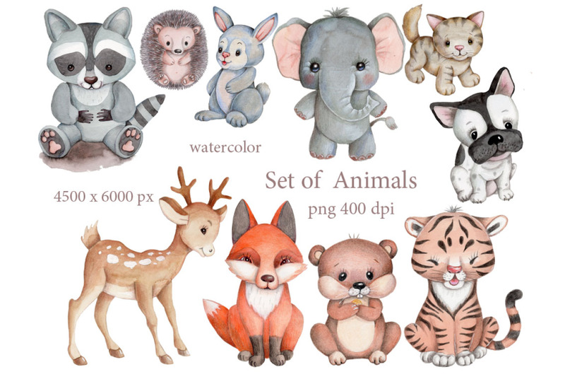 set-of-animals-watercolor-illustrations