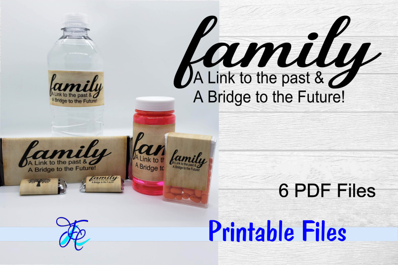 family-a-link-to-the-past-a-bridge-to-the-future