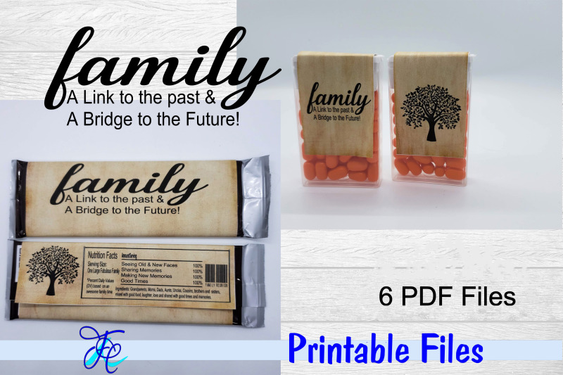 family-a-link-to-the-past-a-bridge-to-the-future