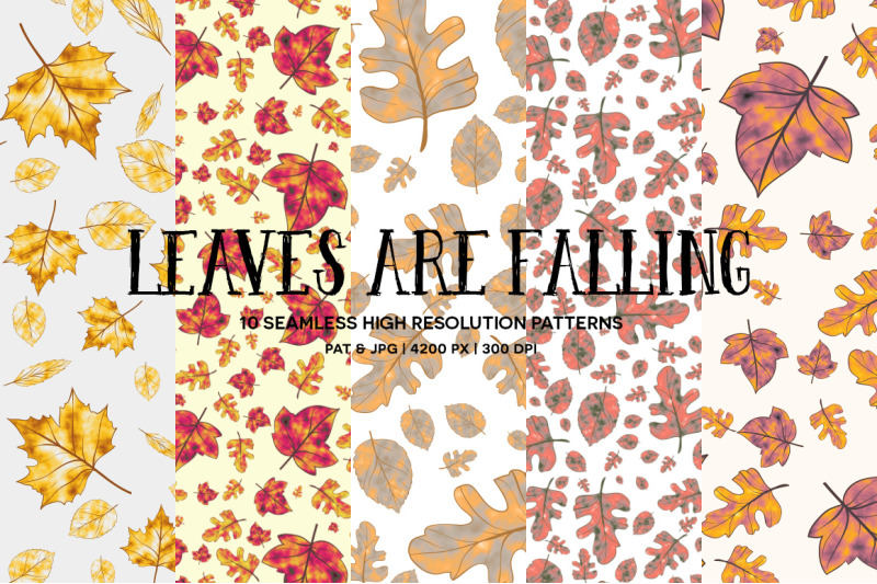 leaves-are-falling