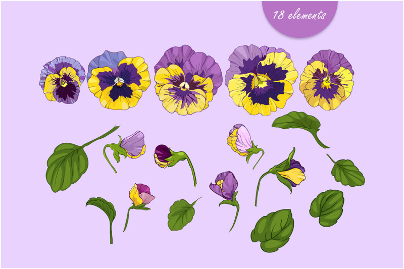 pansies-floral-collection