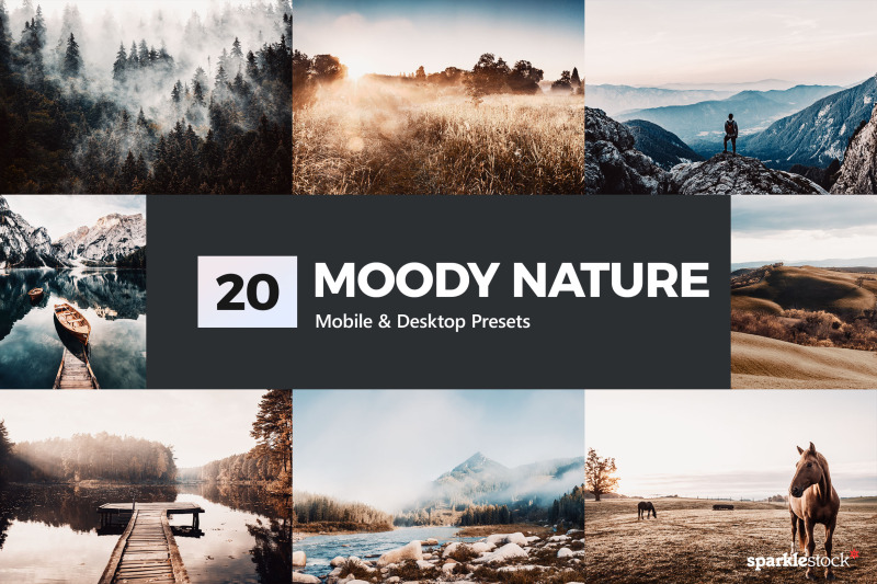 20-moody-nature-lr-presets