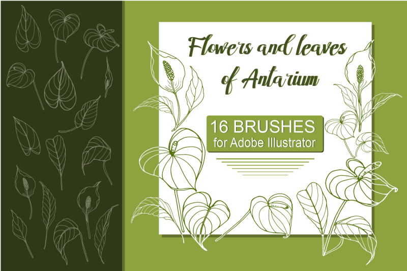 antarium-flowers-and-leaves-brushes-for-adobe-illustrator