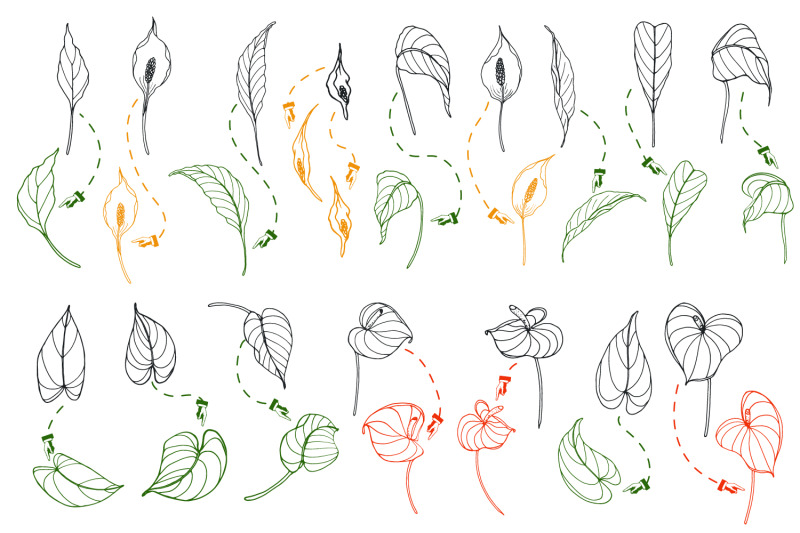 antarium-flowers-and-leaves-brushes-for-adobe-illustrator