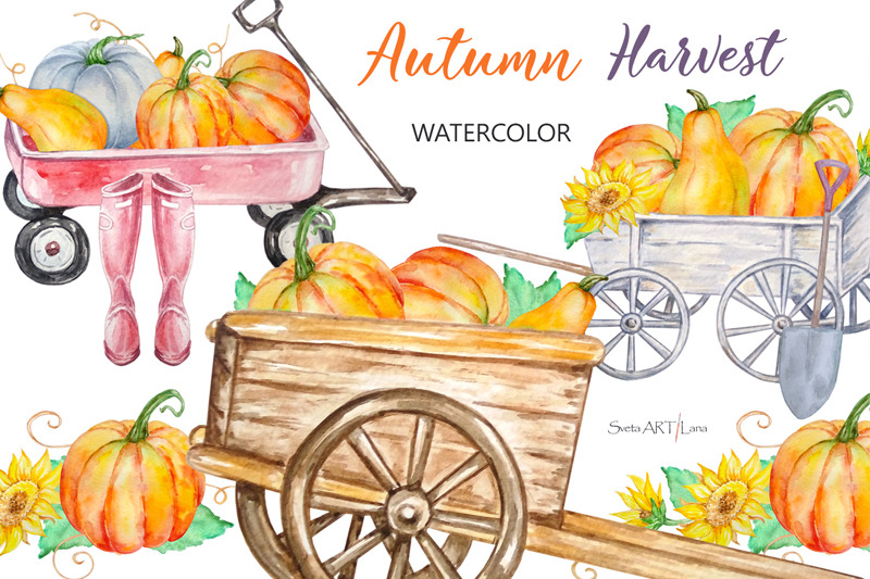 watercolor-autumn-harvest-pumpkins