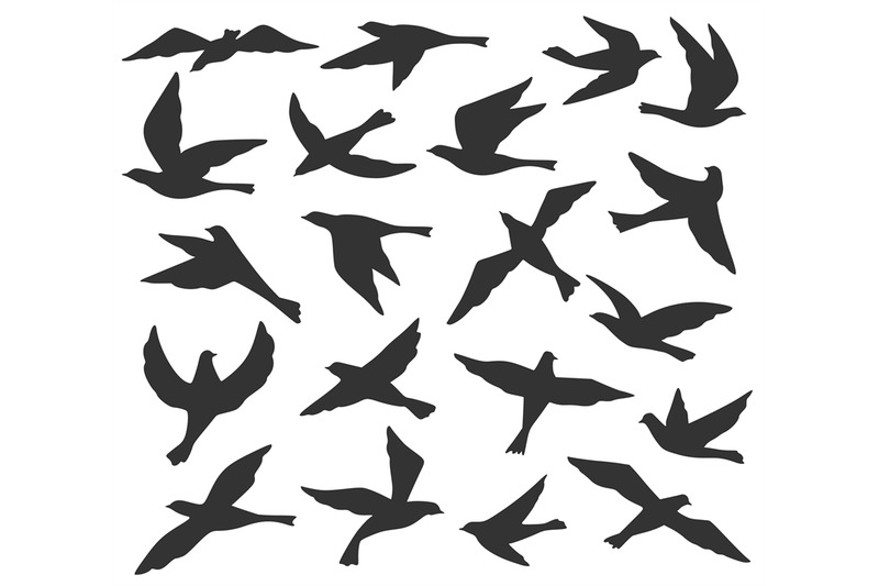 bird-silhouettes-flying-birds-flock-animal-wildlife-migration-doves