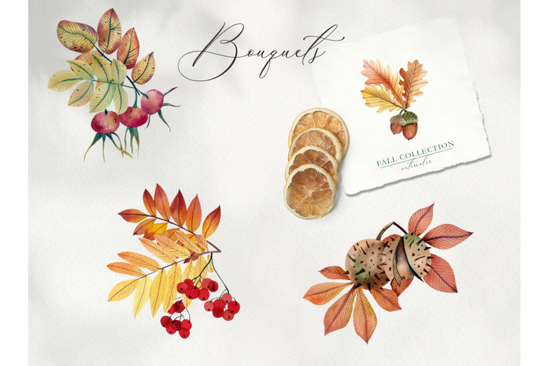 autumn-watercolor-leaf-clipart-kawaii-fall-clipart-thanksgiving-clipa