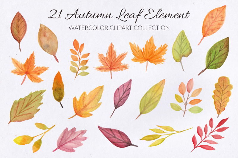 autumn-leaf-watercolor-clipart-collection