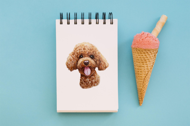poodle-watercolor-dog-illustrations-cute-8-dog