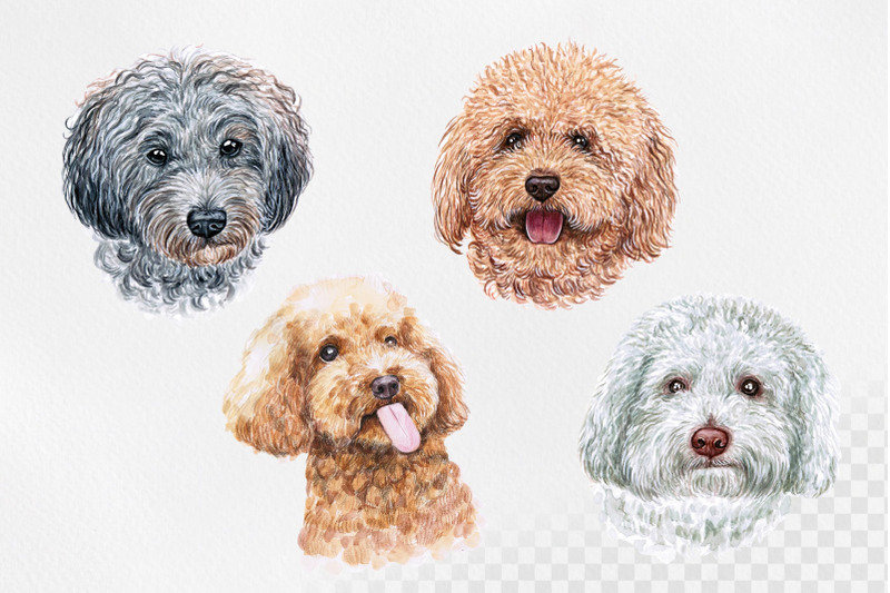 poodle-watercolor-dog-illustrations-cute-8-dog