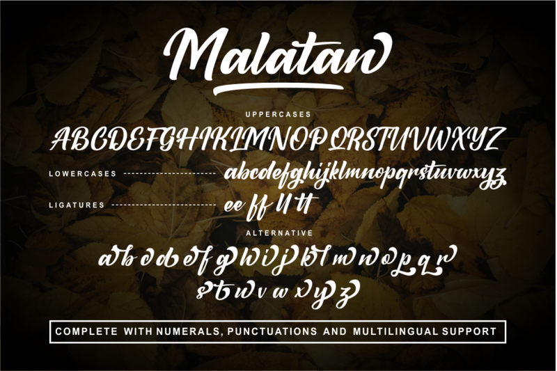 malatan-a-modern-script-typeface