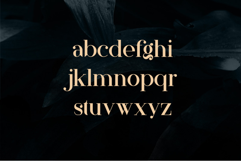 papillon-handcrafted-serif-font
