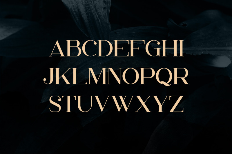 papillon-handcrafted-serif-font