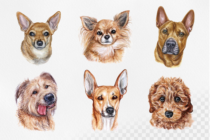 golden-amp-tan-dogs-watercolor-dog-set-illustrations-cute-12-dogs-nbsp