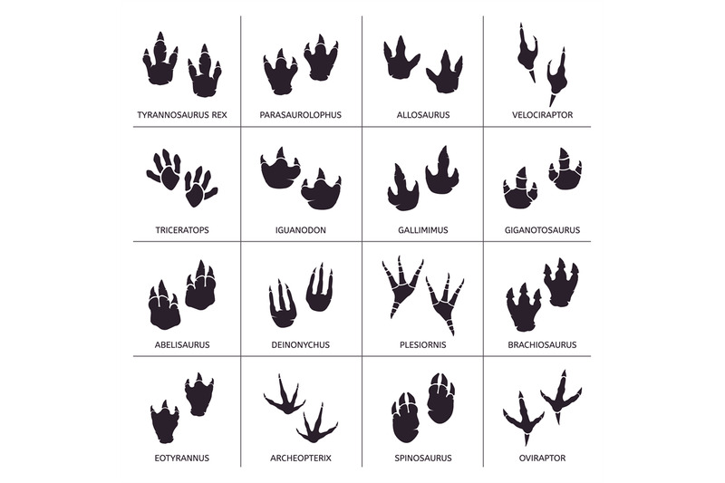 dinosaur-footprint-reptile-foot-anatomy-ancient-predator-animals-foo