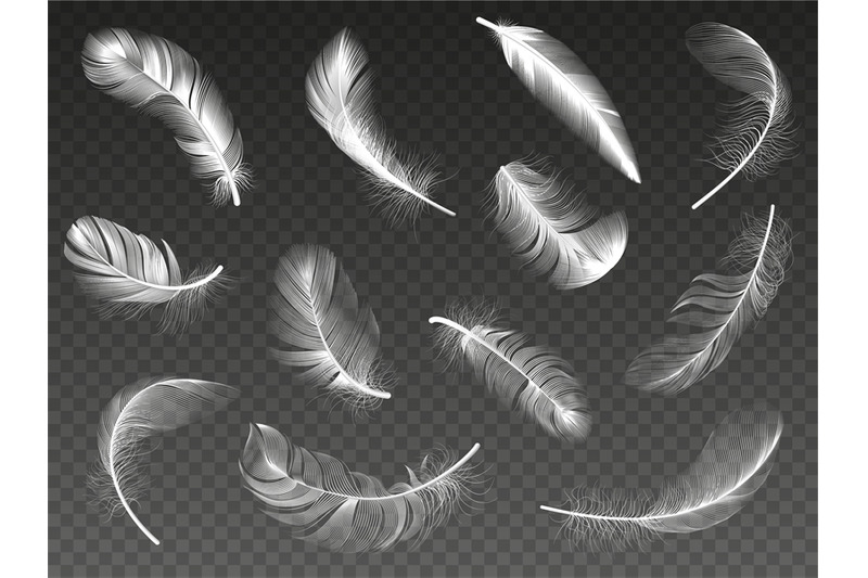 white-realistic-feather-fluffy-angel-twirled-feathers-3d-bird-feathe