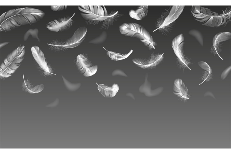 falling-feathers-realistic-twirled-fluffy-feathers-white-fluffy-ange