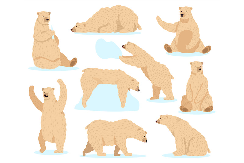 polar-white-bear-arctic-snow-bear-cute-north-bear-character-angry-f