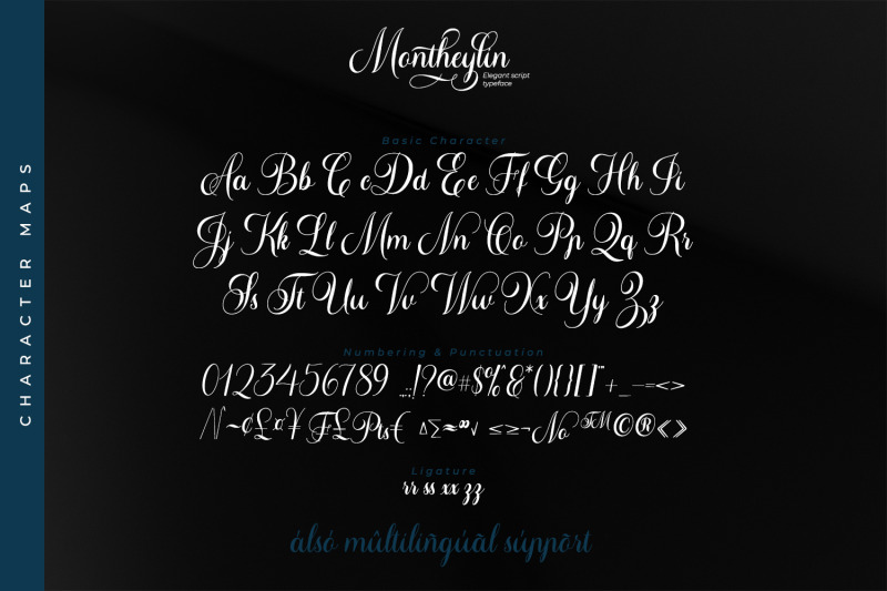 montheylin-calligraphy-font