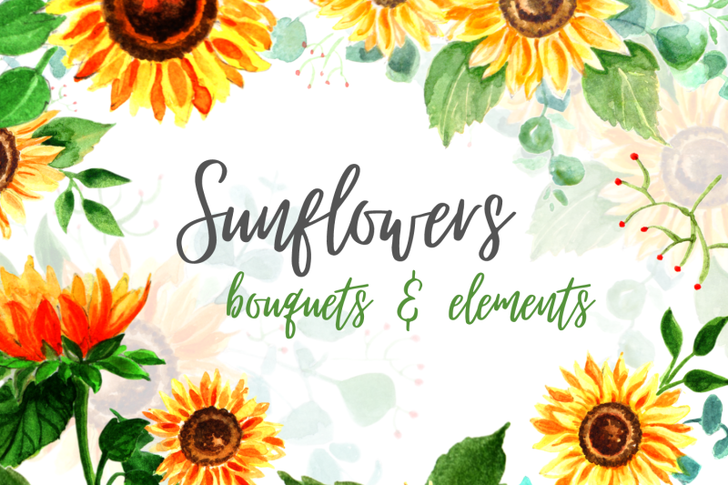 12-nbsp-sunflower-watercolor-clipart-bundle