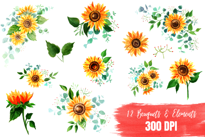 12-nbsp-sunflower-watercolor-clipart-bundle