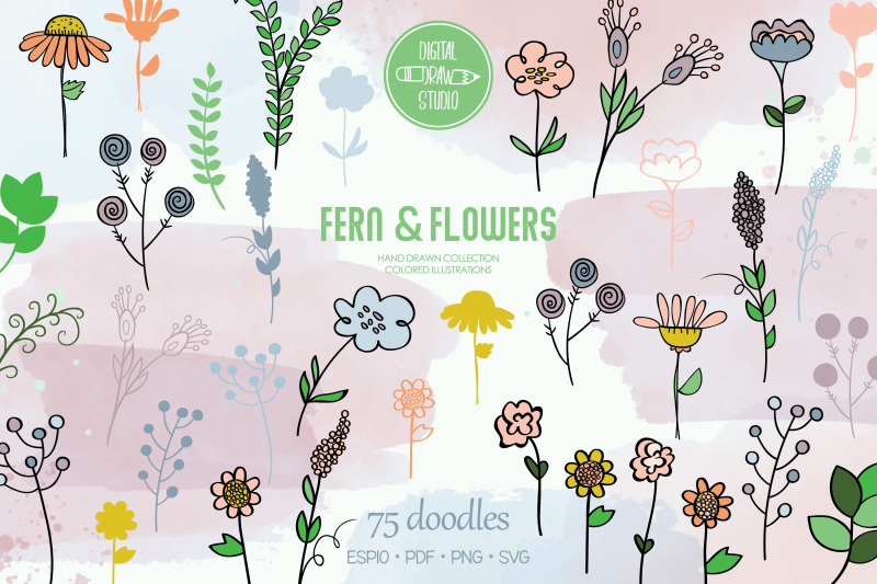 meadow-ferns-amp-wild-flowers-colored-hand-drawn-nature-leaves-plant