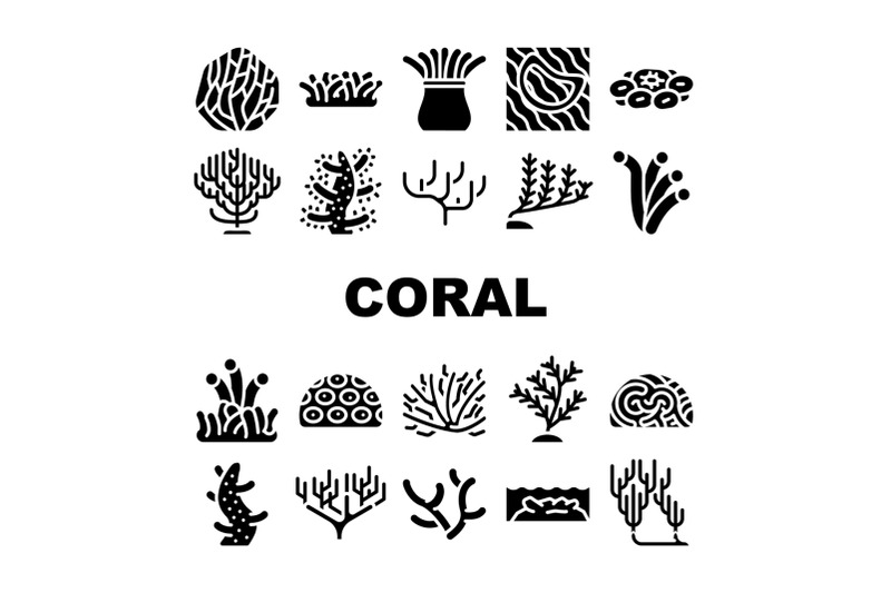 coral-sea-aquatic-reef-collection-icons-set-vector