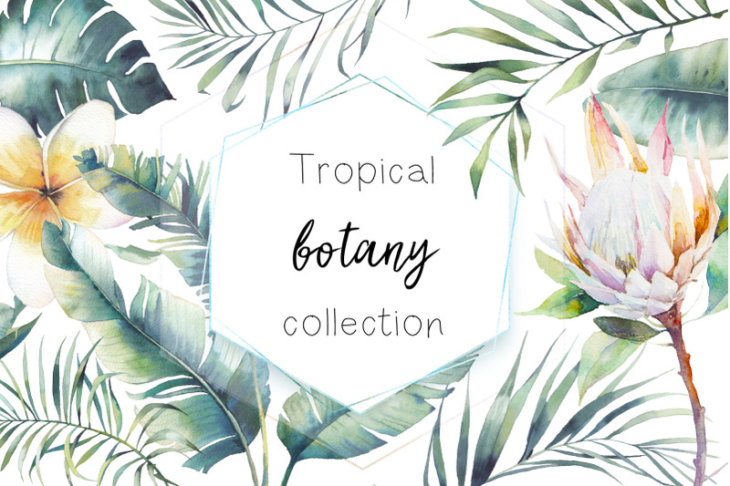 tropical-botany