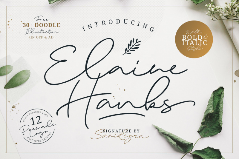 elaine-hanks-feminine-logo-pack