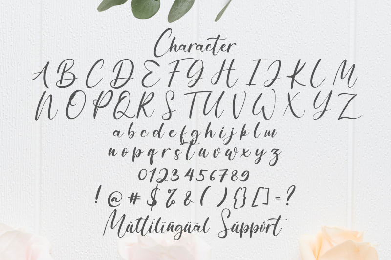 anythings-modern-calligraphy-font