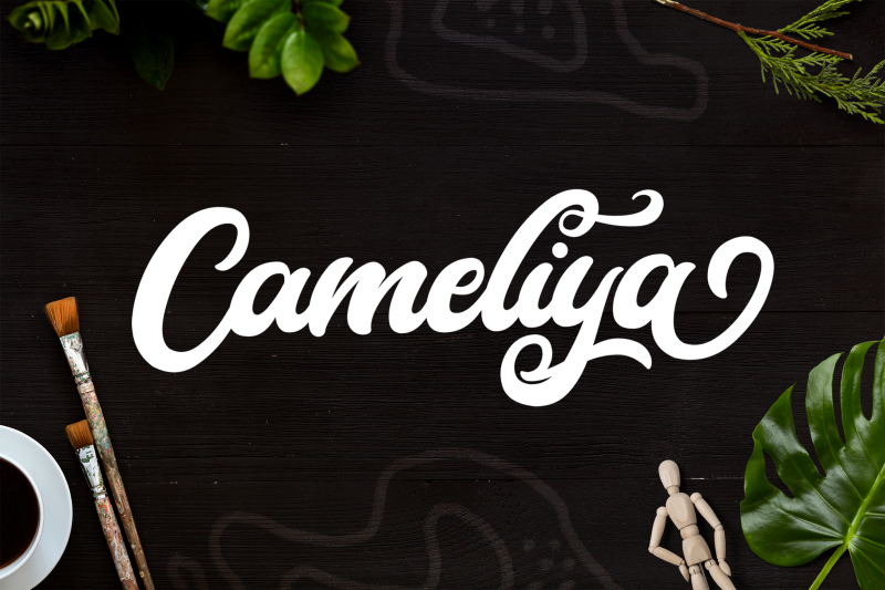 cameliya-bold-script-font