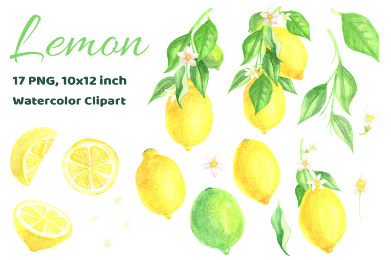 watercolor-lemon-citrus-fruit-hand-drawn-clip-art