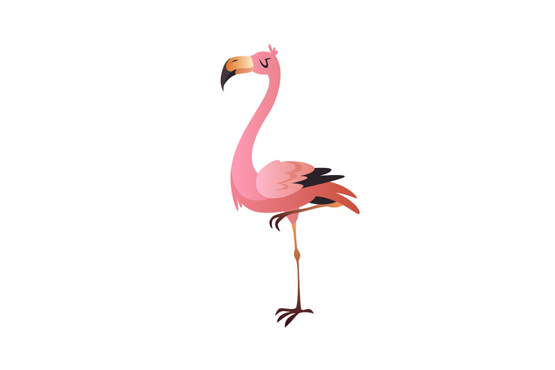 pink-flamingo-cute-beautiful-jungle-or-zoo-cartoon-bird-wildlife-exo