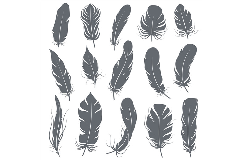 feather-silhouettes-different-feathering-birds-graphic-simple-shapes