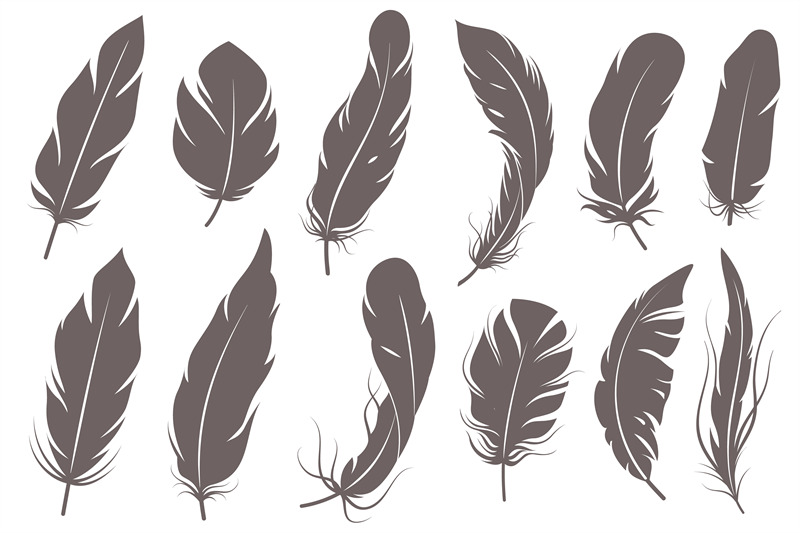 feather-silhouettes-different-feathering-birds-graphic-simple-shapes