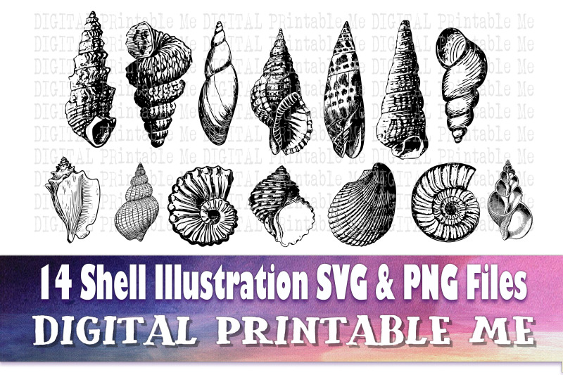 shell-line-art-svg-bundle-drawing-png-14-image-pack-instant-downlo